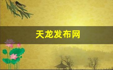 天龙发布网(123天龙八部发布网) (2)
