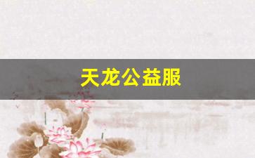 天龙公益服(天龙公益服发布2024年最新消息) (4)