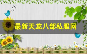最新天龙八部私服网 (15)
