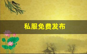 免费天龙发布网：私服免费发布 (9)